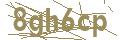 psychotherapy Vienna