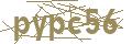 psychotherapy Vienna